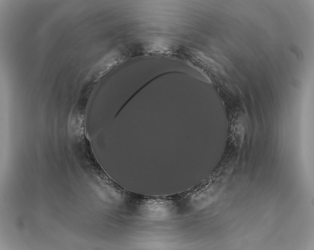 X0000111910708200908101201