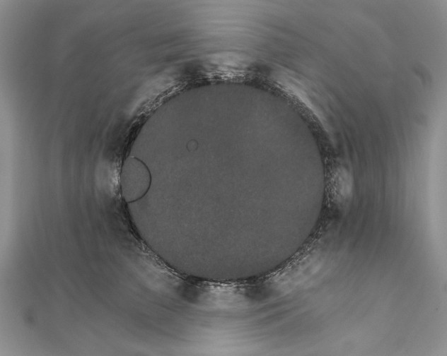 X0000111910709200908101201