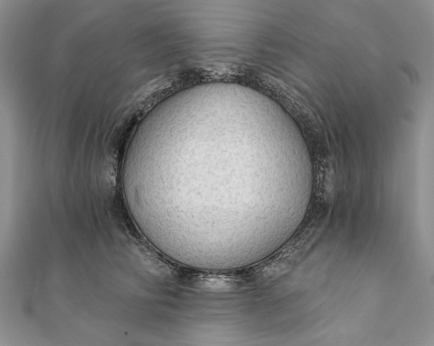 X0000111910710200908101201