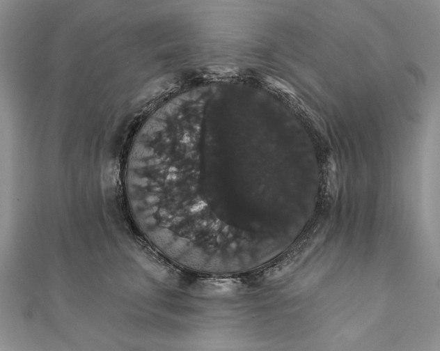 X0000111910711200908101201