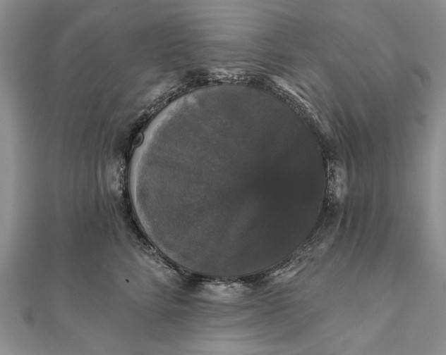 X0000111910712200908101201