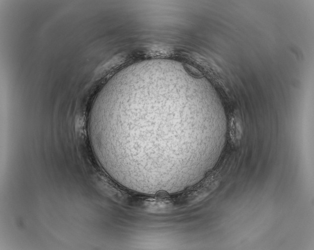 X0000111910714200908101201