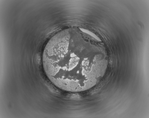 X0000111910715200908101201