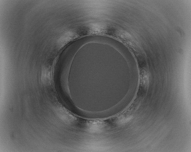 X0000111910716200908101201