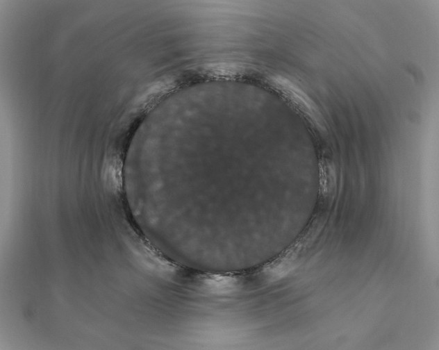 X0000111910718200908101201