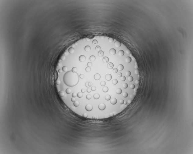 X0000111910719200908101201