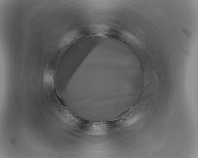 X0000111910720200908101201