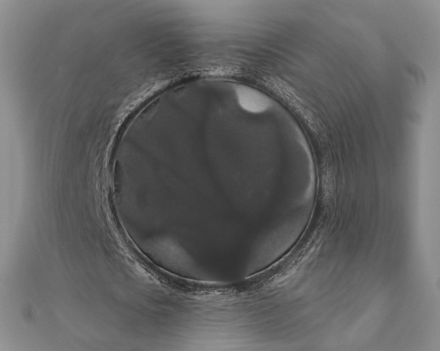 X0000111910721200908101200