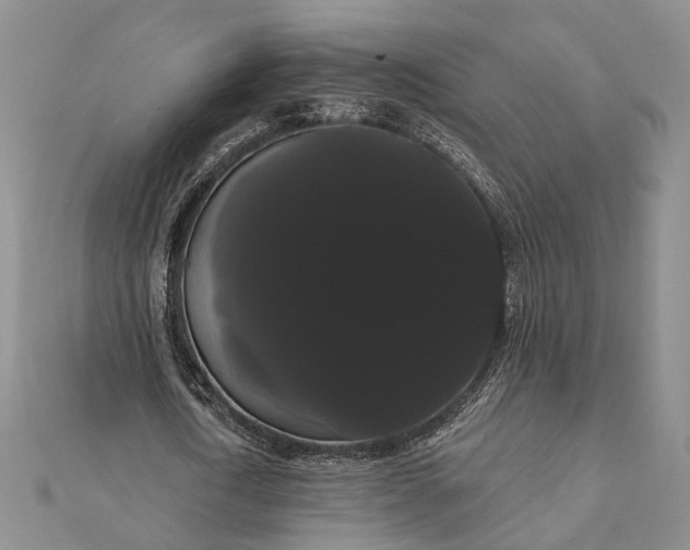 X0000111910722200908101200