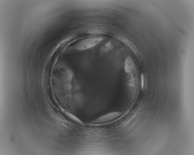 X0000111910723200908101200