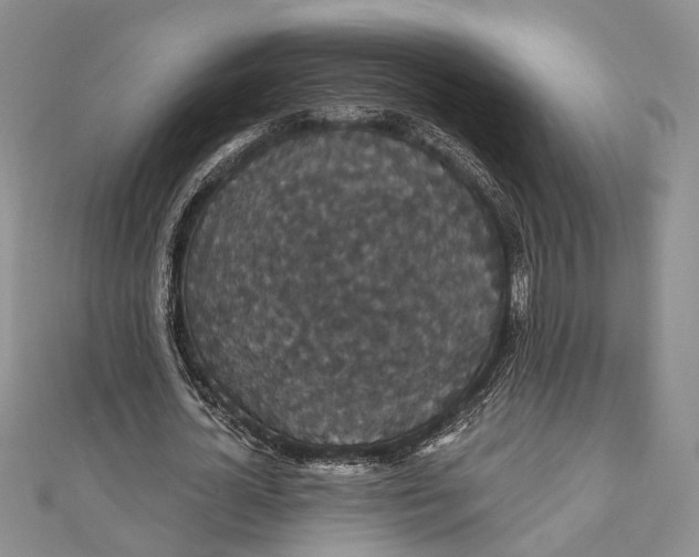 X0000111910724200908101200