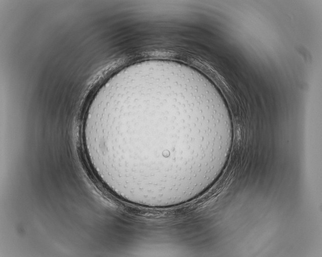 X0000111910725200908101200