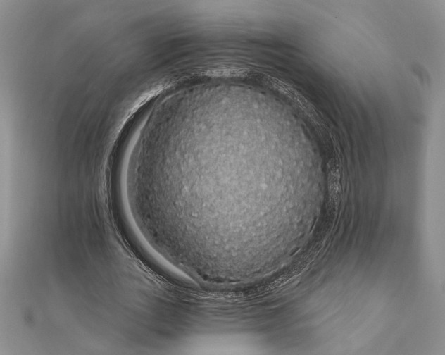 X0000111910727200908101200