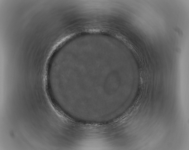 X0000111910728200908101200