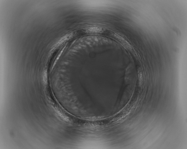 X0000111910729200908101200