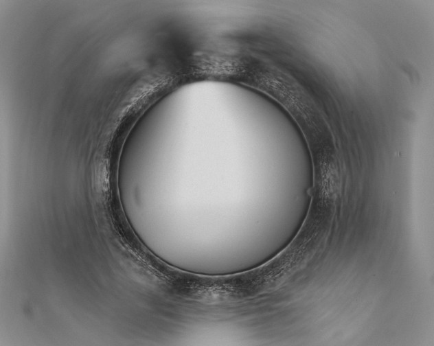 X0000111910731200908101200