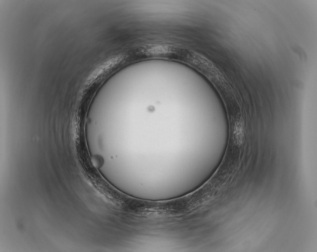 X0000111910732200908101200