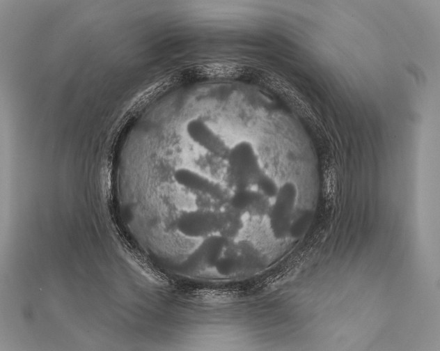 X0000111910733200908101200