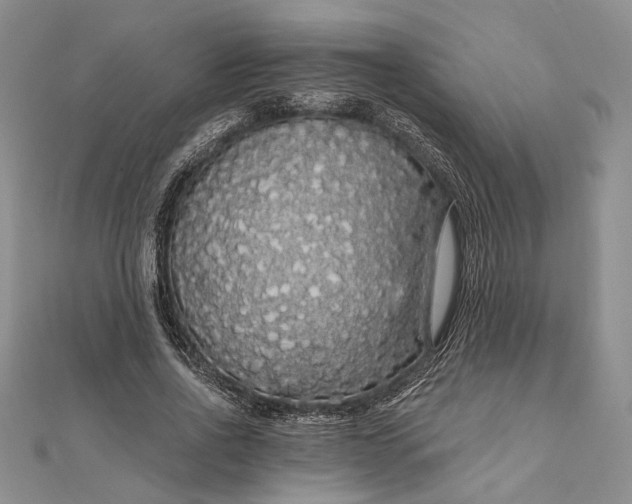 X0000111910734200908101200