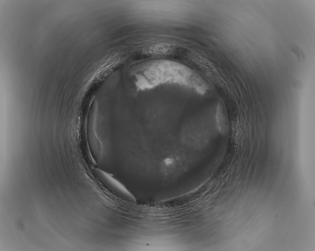 X0000111910735200908101200