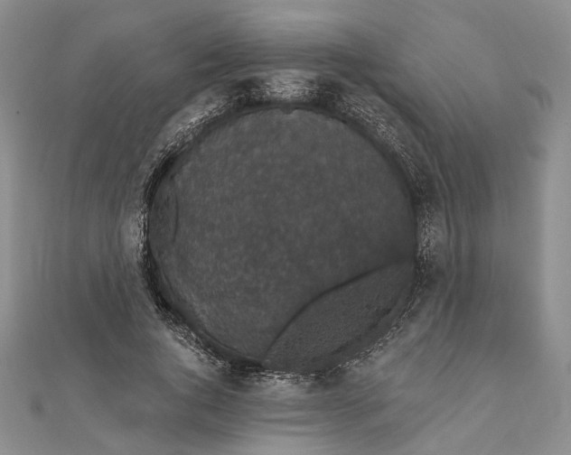 X0000111910736200908101200