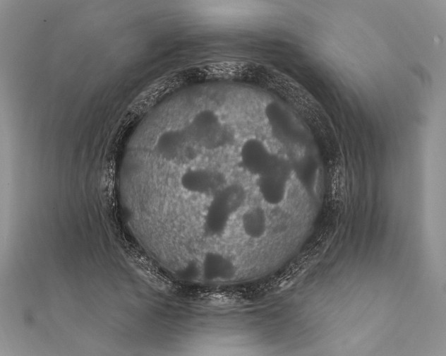 X0000111910737200908101200