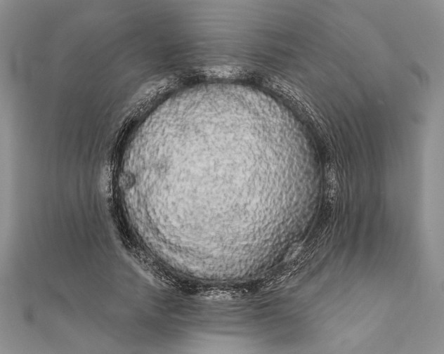 X0000111910738200908101200