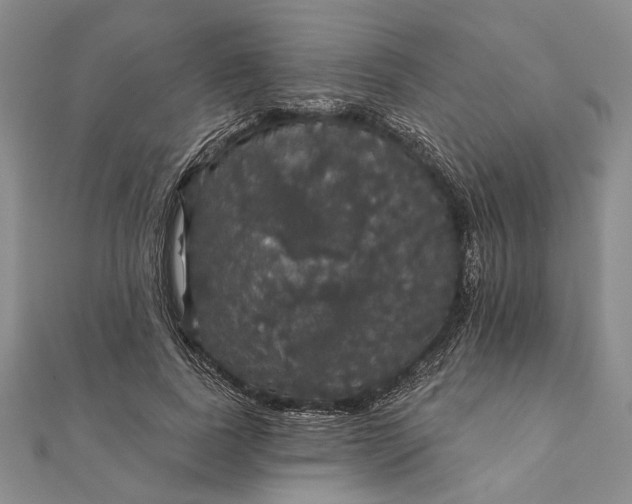 X0000111910739200908101200