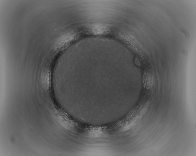 X0000111910740200908101200