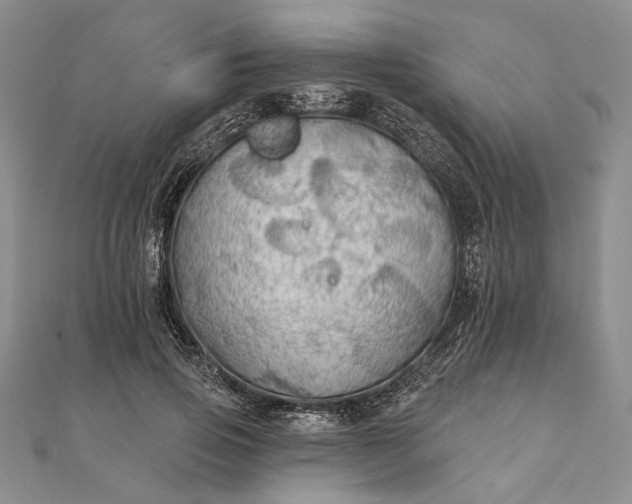 X0000111910741200908101200