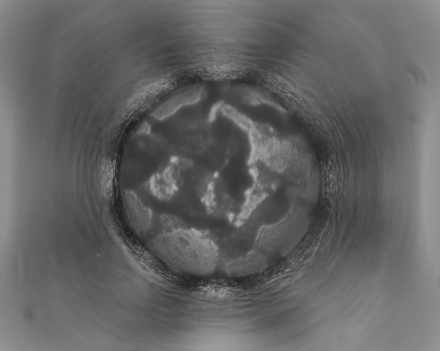 X0000111910742200908101200