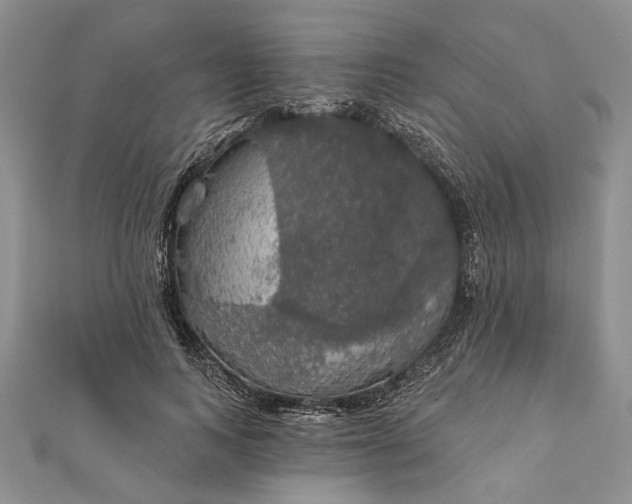 X0000111910743200908101200