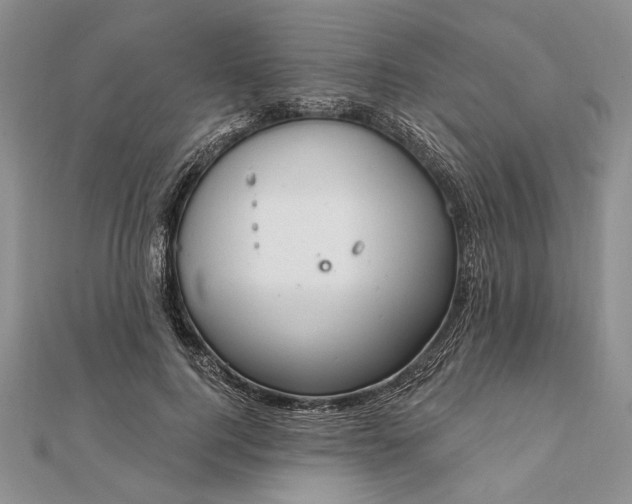 X0000111910744200908101200