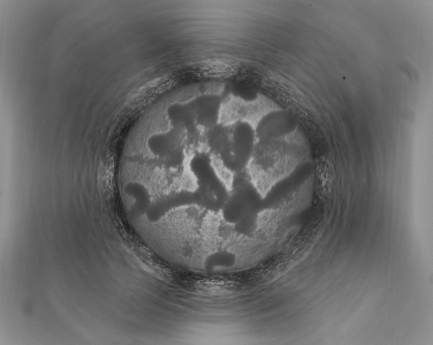 X0000111910745200908101200