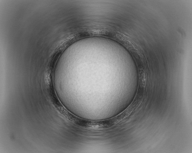 X0000111910746200908101200