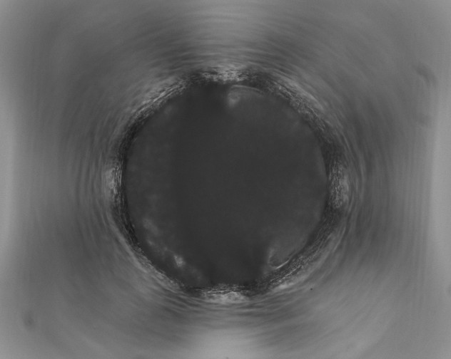 X0000111910747200908101200