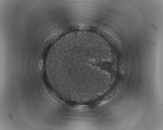 X0000111910748200908101200