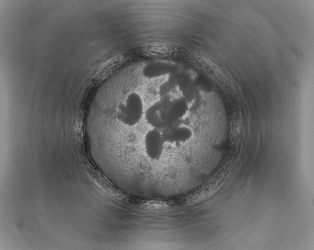 X0000111910749200908101200