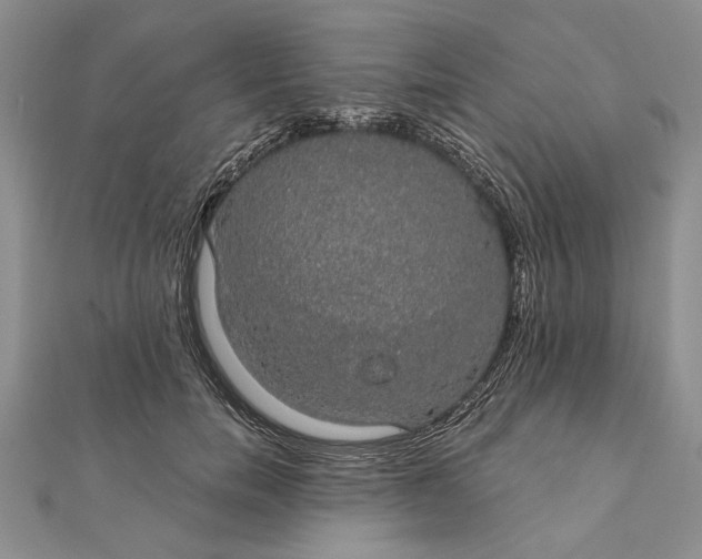 X0000111910750200908101200