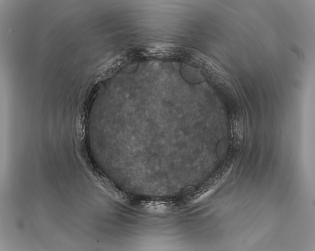 X0000111910751200908101200