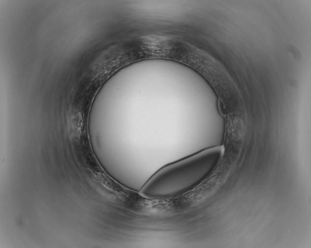 X0000111910752200908101200