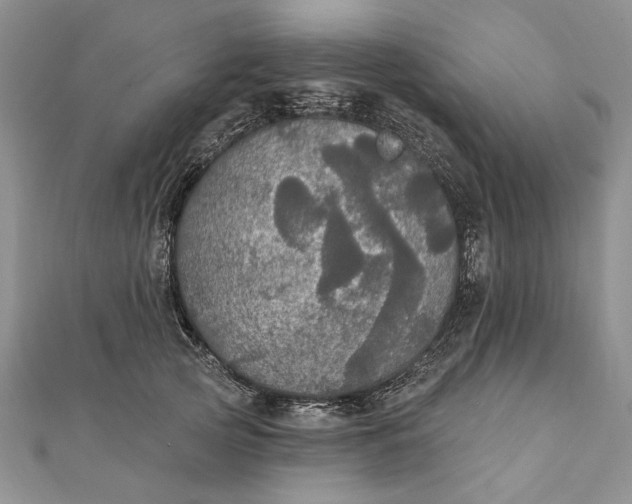 X0000111910753200908101200