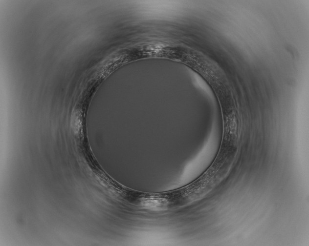 X0000111910754200908101200