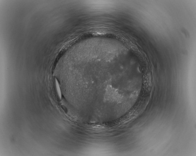 X0000111910755200908101200