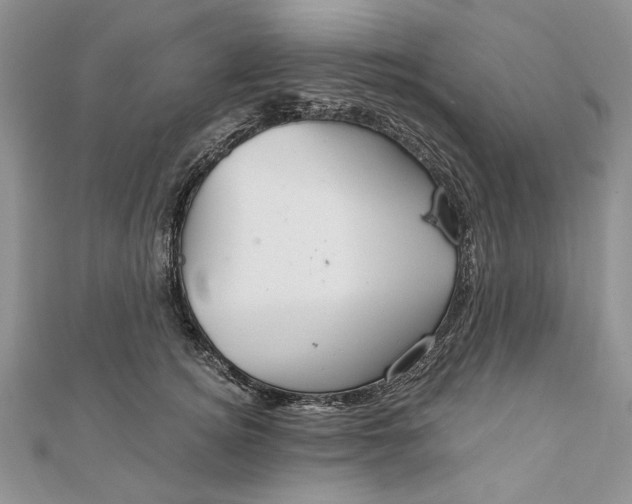 X0000111910756200908101200