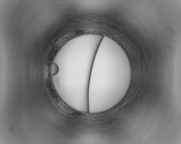 X0000111910758200908101200