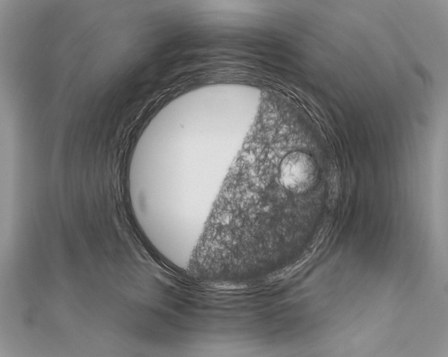 X0000111910759200908101200