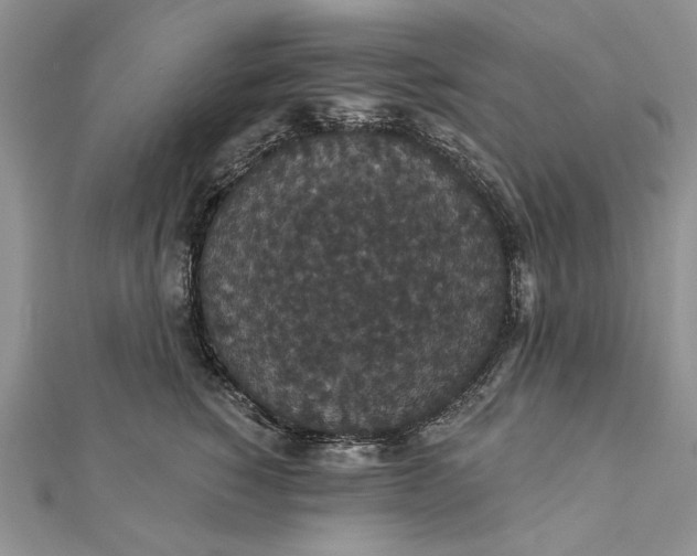 X0000111910760200908101200