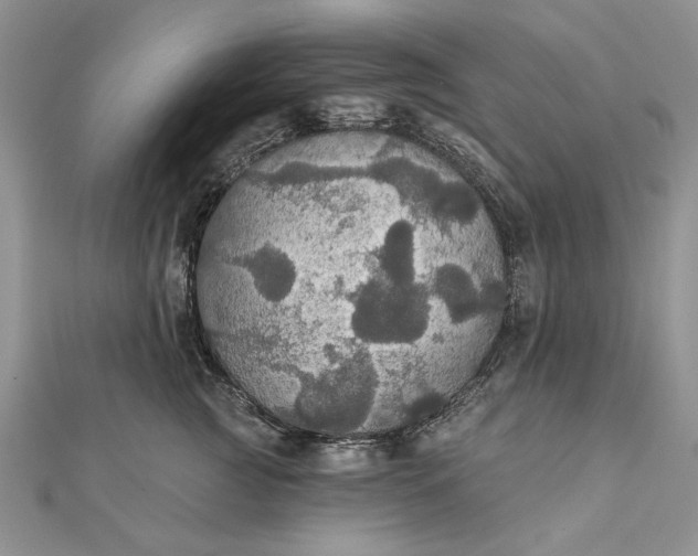 X0000111910761200908101200