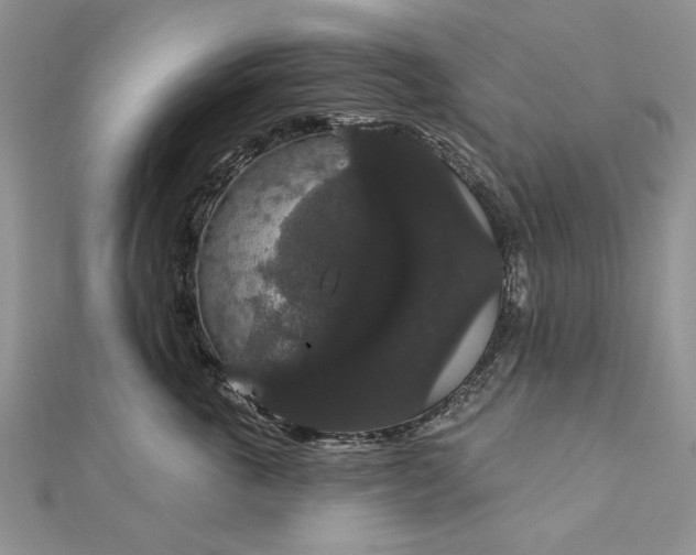 X0000111910763200908101200